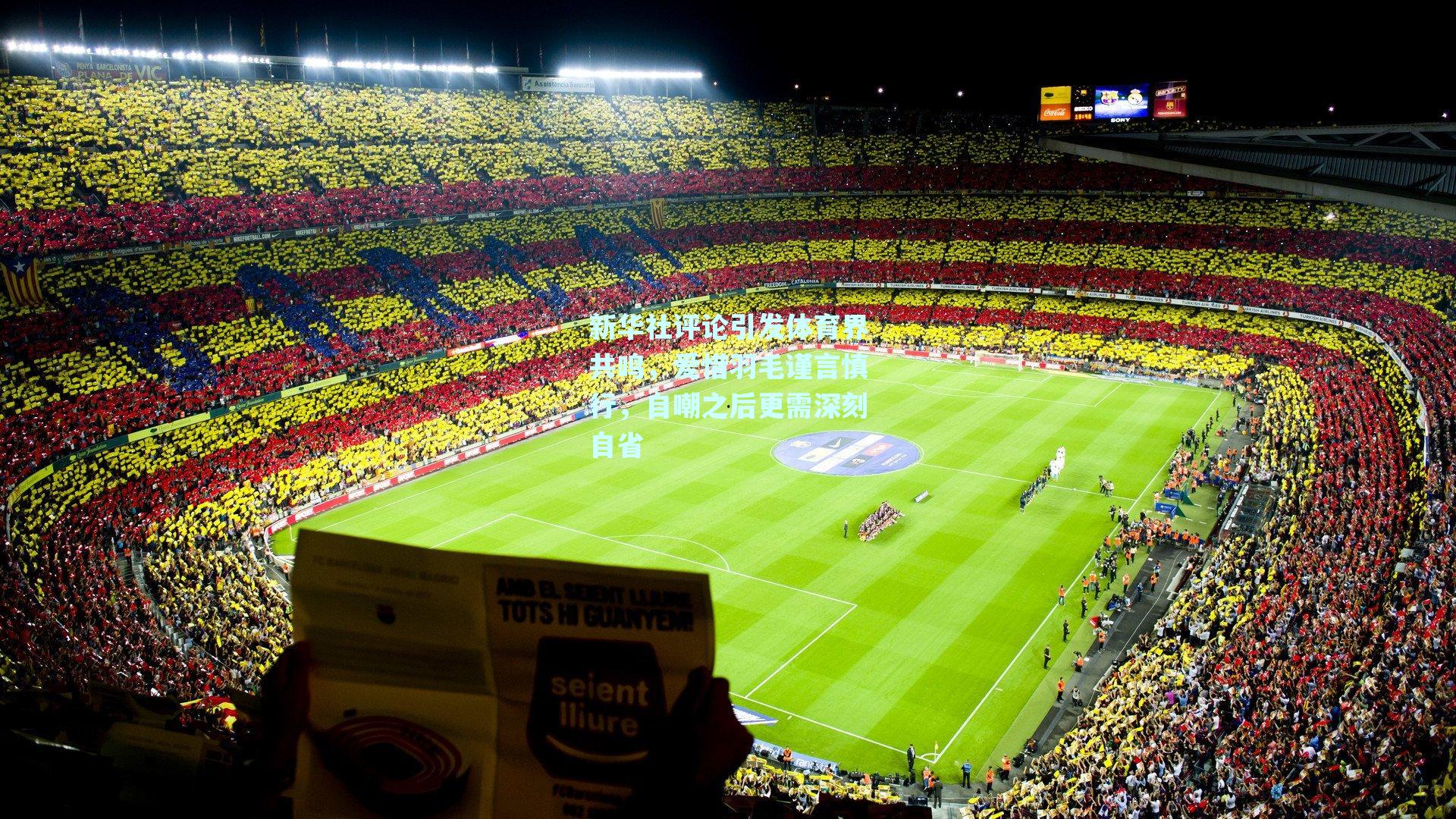 新华社评论引发体育界共鸣，爱惜羽毛谨言慎行，自嘲之后更需深刻自省