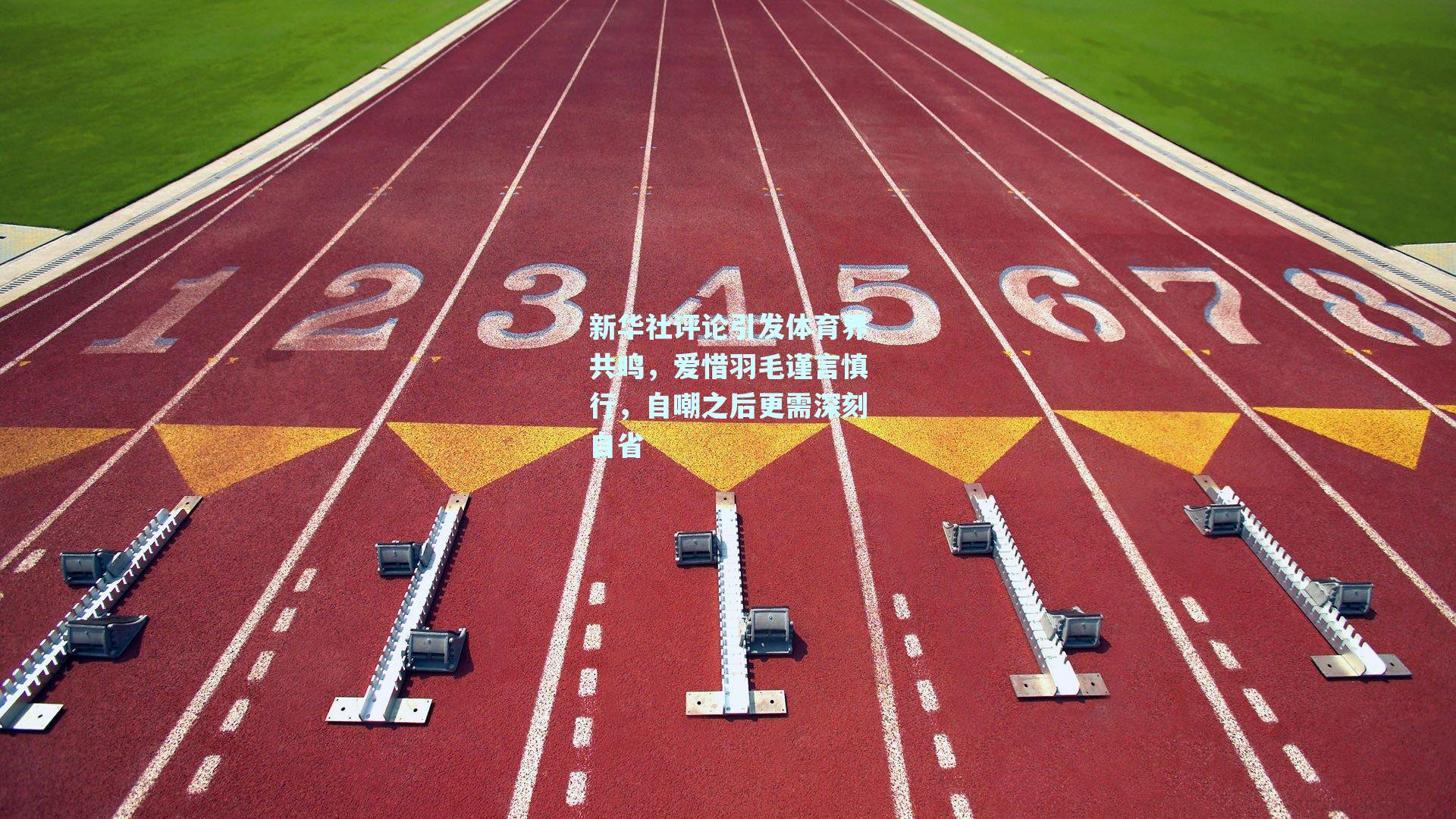 新华社评论引发体育界共鸣，爱惜羽毛谨言慎行，自嘲之后更需深刻自省