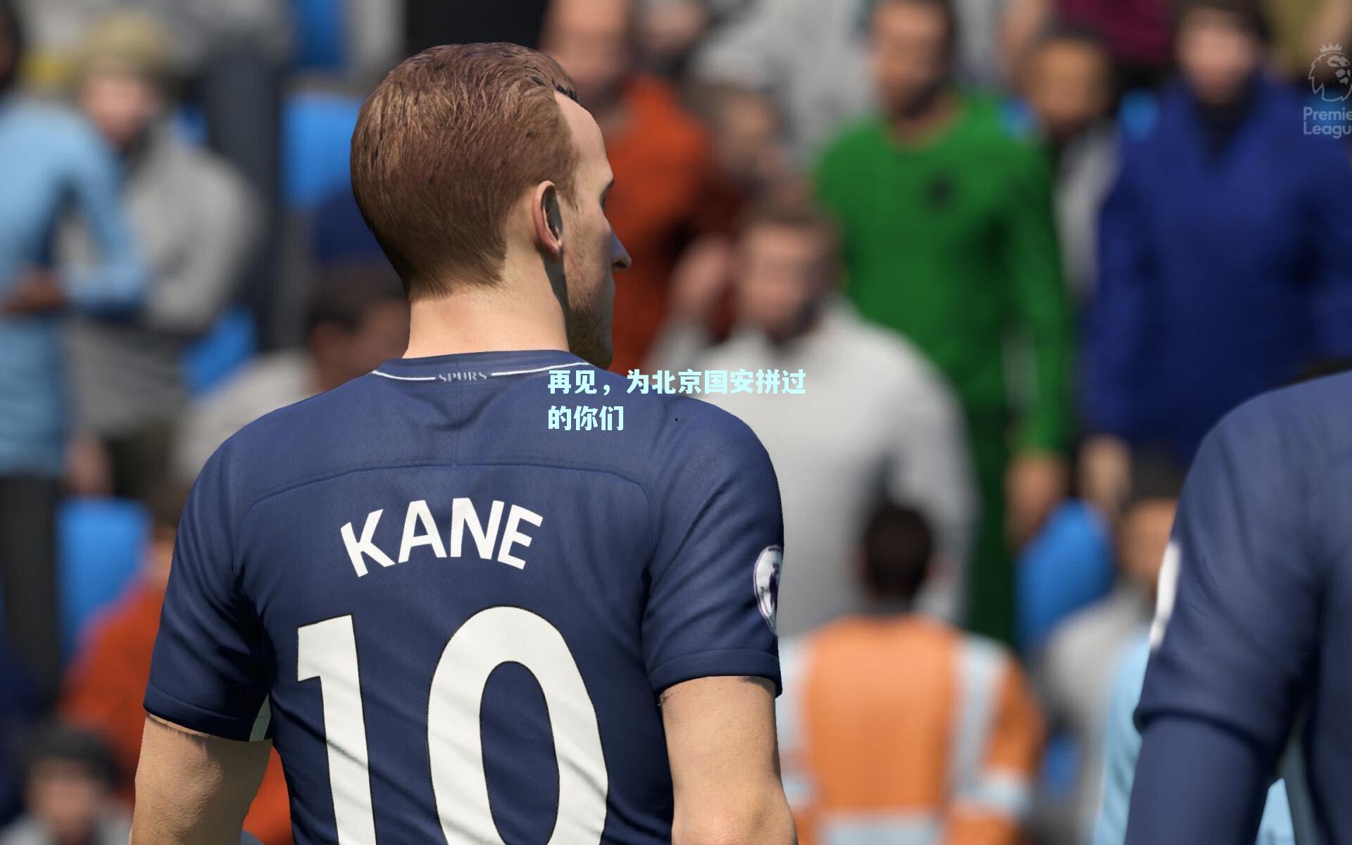再见，为北京国安拼过的你们